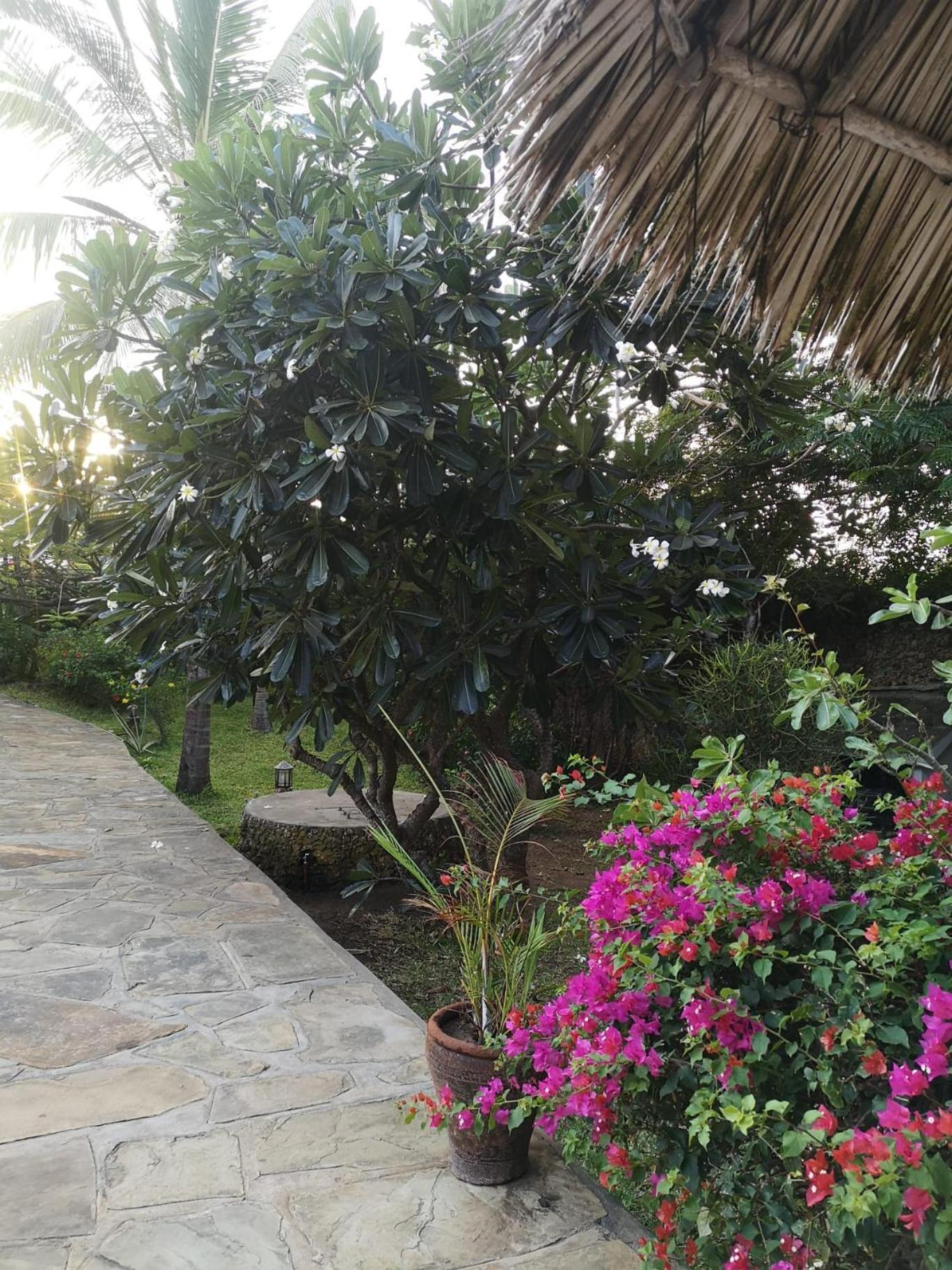 Fulvia House Villa Malindi Ngoại thất bức ảnh